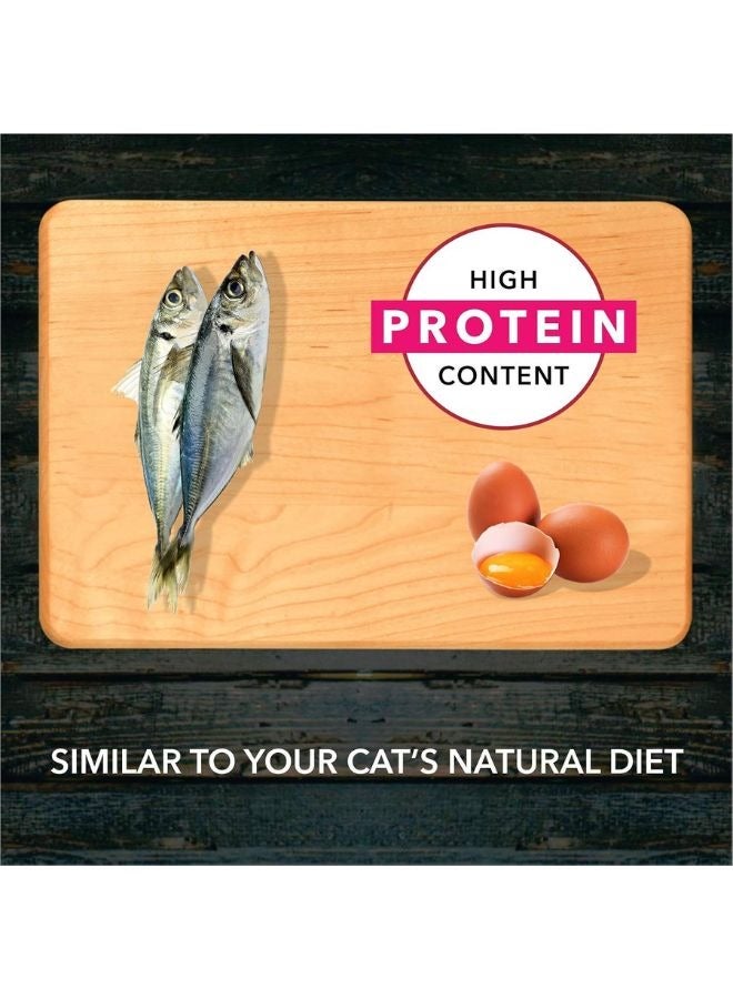 Meatup Dry Cat Food Ocean Fish (Buy 1 Get 1) 2 x 3 Kg - Image 4
