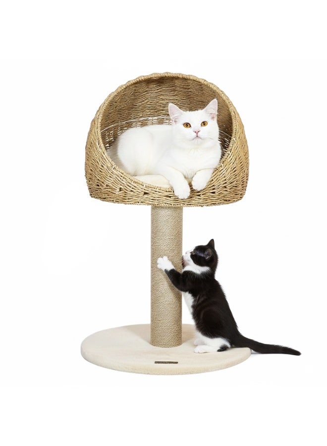 أن ان سي بيتس برج شجرة للقطط المنزلية، أعمدة خدش بطول 75 سم مصنوعة من حبل السيزال الطبيعي، سرير سلة، مناسب للقطط الصغيرة والبالغة، مركز أنشطة للقطط للعب والراحة، أعمدة من السيزال المنسوج يدويًا (بيج). - Image 1