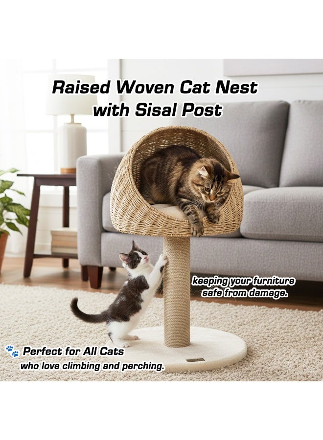 أن ان سي بيتس برج شجرة للقطط المنزلية، أعمدة خدش بطول 75 سم مصنوعة من حبل السيزال الطبيعي، سرير سلة، مناسب للقطط الصغيرة والبالغة، مركز أنشطة للقطط للعب والراحة، أعمدة من السيزال المنسوج يدويًا (بيج). - Image 4