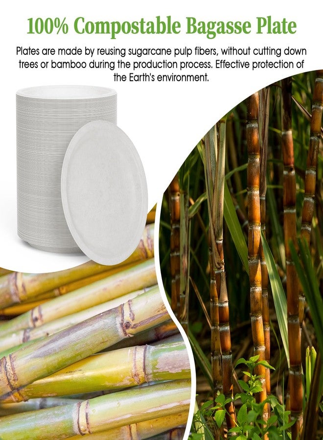 ECOLipak 6 Inch Compostable Small Paper Plates, 500 Pack Recycled Sugarcane Bagasse Mini Dessert Plates Disposable, Biodegradable Heavy Duty Cute Dinner Appetizer Cake Plates for Kids and Everyone - Image 3
