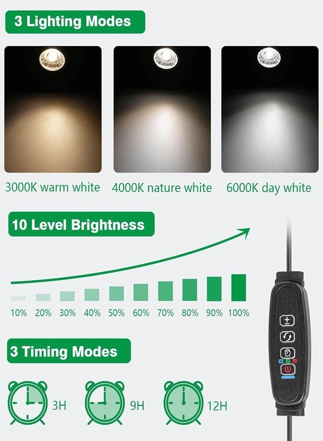 Osowake LED Spot Lights Indoor 3W Accent Lighting Up Lights Indoor Spotlight Lamp for Plants 120V Warm White Uplighting Decor US 2-Plug 6 FT Cord with Floor Foot Switch - Image 2