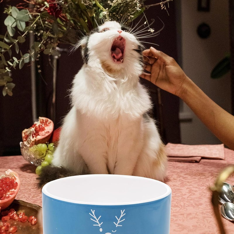 Ceramic Cat Feeding Bowl with Elk Snowman Pattern, Blue Christmas Pet Food and Water Bowl for Cats and Dogs, 1pcs Festive Porcelain Pet Feeder - Image 4