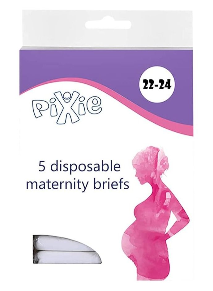 Pixie ملابس داخلية نسائية بيكسي للاستخدام مرة واحدة، 5 قطع (مقاس 22 24)، عبوة من 3 قطع، أبيض  - Image 1
