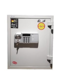 Protector BOOIL Safe BS-530T Fireproof Safe - Anti-Theft Safe with Adjustable Shelf, Numeric Keypad, Double Lock (H53 x W43 x D46 cm, 63 kg) - Made in Korea  - Image 1