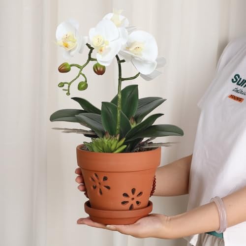 JUXYES Pack of 3 Small Terracotta Orchid Pot with Holes and Saucers, 6 Inches Clay Orchid Planter Pots for Repotting, Plant Flower Pots for Orchid Indoor and Outdoor Promotes Air Circulation - Image 3