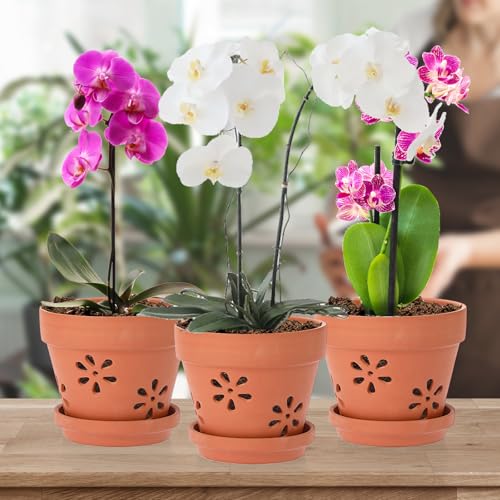 JUXYES Pack of 3 Small Terracotta Orchid Pot with Holes and Saucers, 6 Inches Clay Orchid Planter Pots for Repotting, Plant Flower Pots for Orchid Indoor and Outdoor Promotes Air Circulation - Image 4