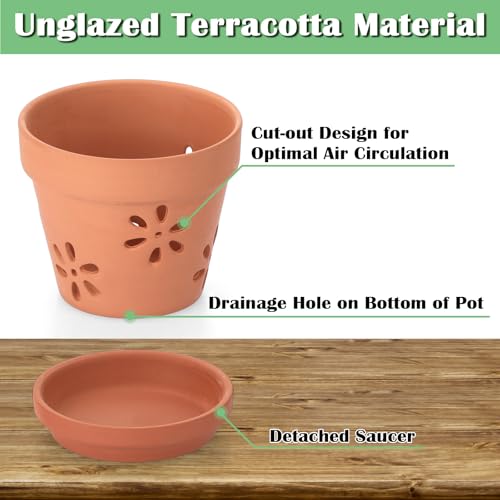 JUXYES Pack of 3 Small Terracotta Orchid Pot with Holes and Saucers, 6 Inches Clay Orchid Planter Pots for Repotting, Plant Flower Pots for Orchid Indoor and Outdoor Promotes Air Circulation - Image 5
