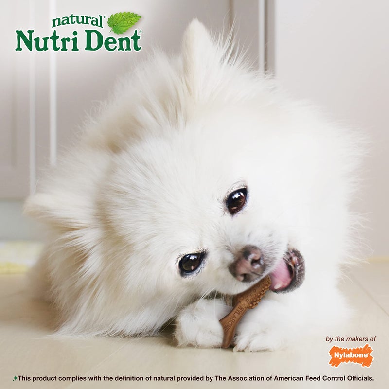 Nylabone Nutri Dent Dog Dental Chews - Natural Dog Teeth Cleaning & Breath Freshener - Dental Treats for Dogs - Filet Mignon Flavor, Mini (160 Count) - Image 4