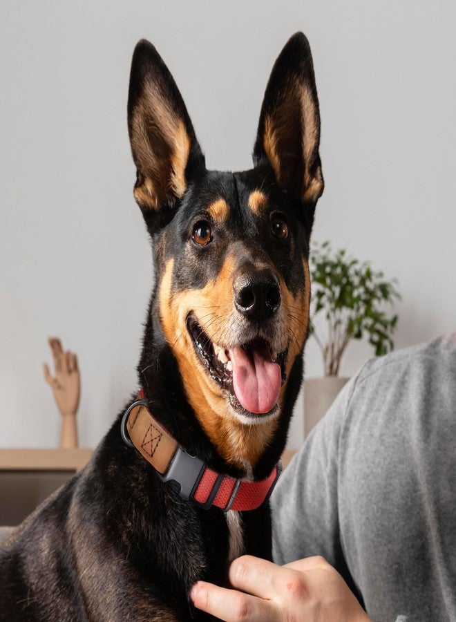 مايل هاي لايف أطواق كلاب مايل هاي لايف | أطواق كلاب قطنية ناعمة مع مشبك معدني متين | طوق جرو كلاسيكي بأطراف من الجلد الطبيعي الفاخر | أطواق حيوانات أليفة للكلاب الكبيرة (أحمر) - Image 2