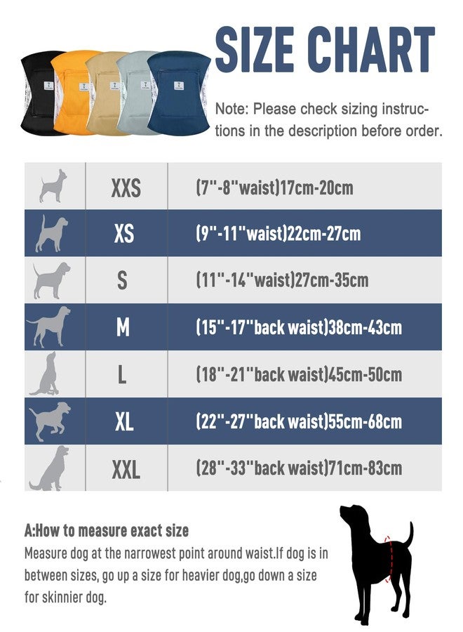 ZINGTERRA 5 Pack Dog Diapers Male,Reusable Leakproof Pet Soft Dog Belly Band Wraps,Male Dog Diaper High Absorbency,Wider Washable Belly Band for Doggy Incontinence and Puppy Training - Image 3