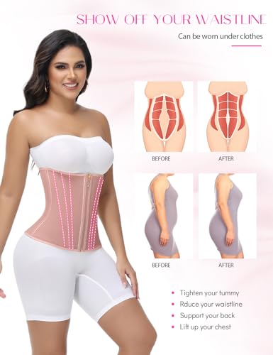 SHAPSHE Waist Trainer for Women Tummy Control Workout Waist Cincher Corset Shapewear Postpartum Body Shaper Faja with Zipper Hook Rosy Brown L - Image 3