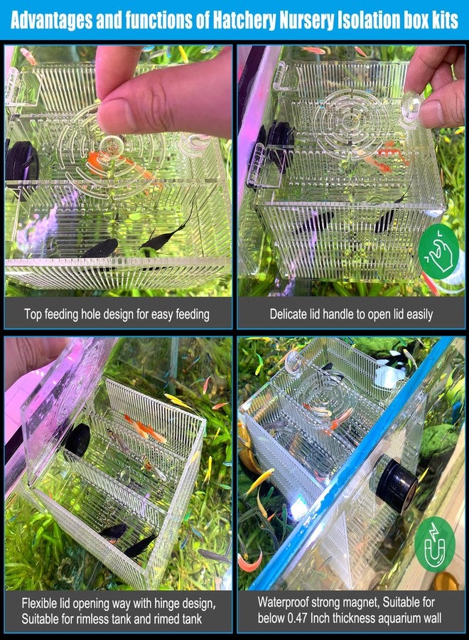 NestBasics Magnetic Fish Breeder Box for Isolation Boxes Acclimation Hatchery breeding Incubator for Guppy Baby Betta Shrimp Saltwater Clownfish Coral Anemones Aggressive or Injured Fishes - Image 3