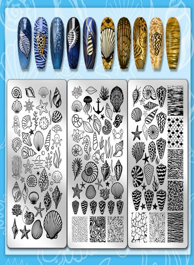 PH PandaHall 3pcs Seashell Nail Stamping Plates Sea Creature Nail Art Templates Ocean Beach Fish Starfish Nails Art Stencils with Stamper and Scraper for Summer Seaside Manicures Salon Design - Image 2