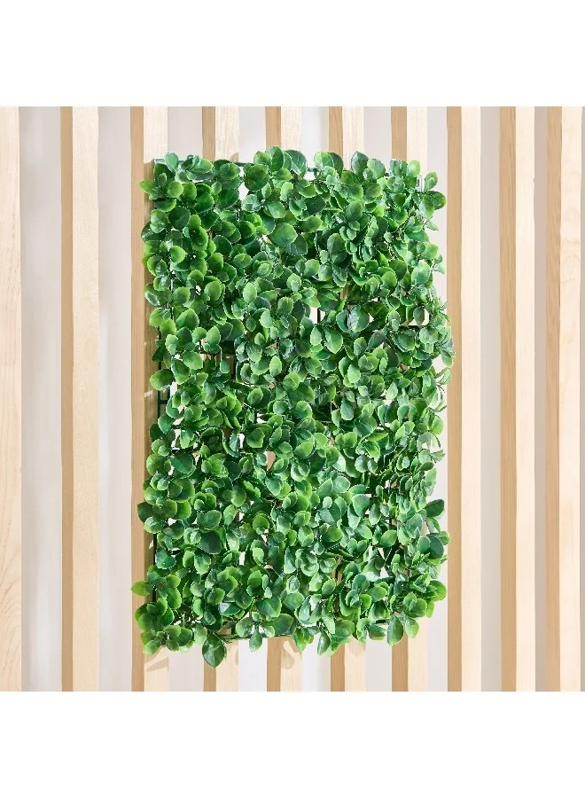 هوم بوكس سيلو لوح جدار عشب صناعي 60 × 4 × 40 سم