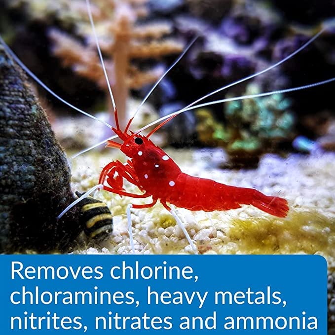 API مكيف مياه مركّز شامل أساسي أكوا (118 مل) - Image 2