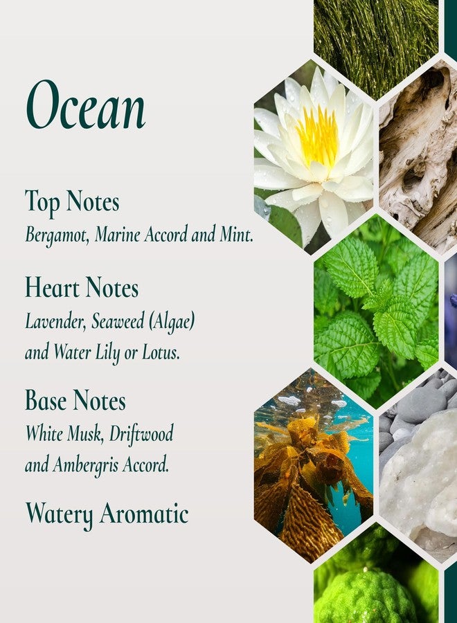 Siesta Aromas Ocean Essential Oil, 500ml, Marine-Inspired Blend with Sea Air and Citrus Notes, for Diffusing and Relaxation - Image 3