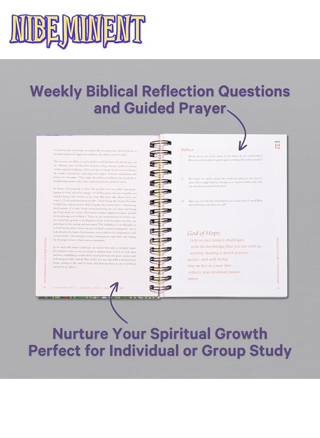 NIBEMINENT A Beautiful Year in the Bible: The 52-Week Bible Study for Women  - Image 3