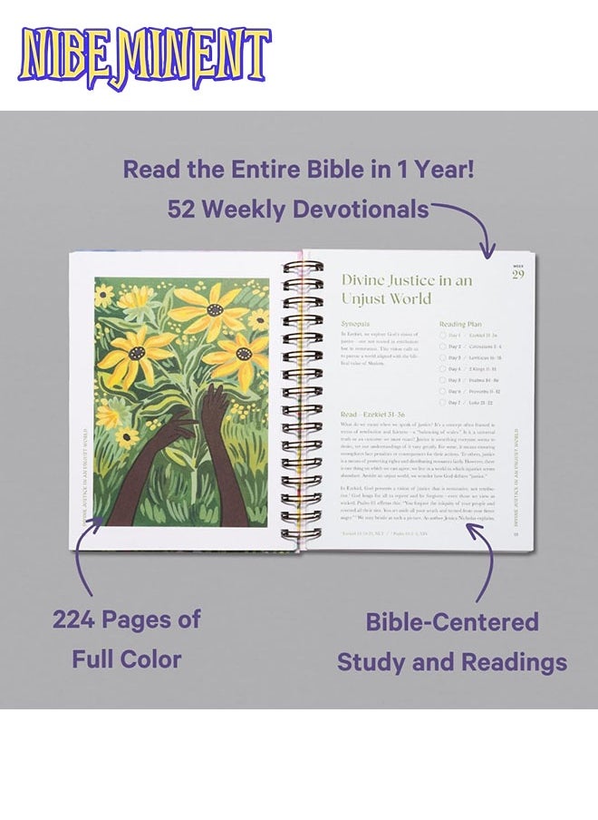 NIBEMINENT A Beautiful Year in the Bible: The 52-Week Bible Study for Women  - Image 2