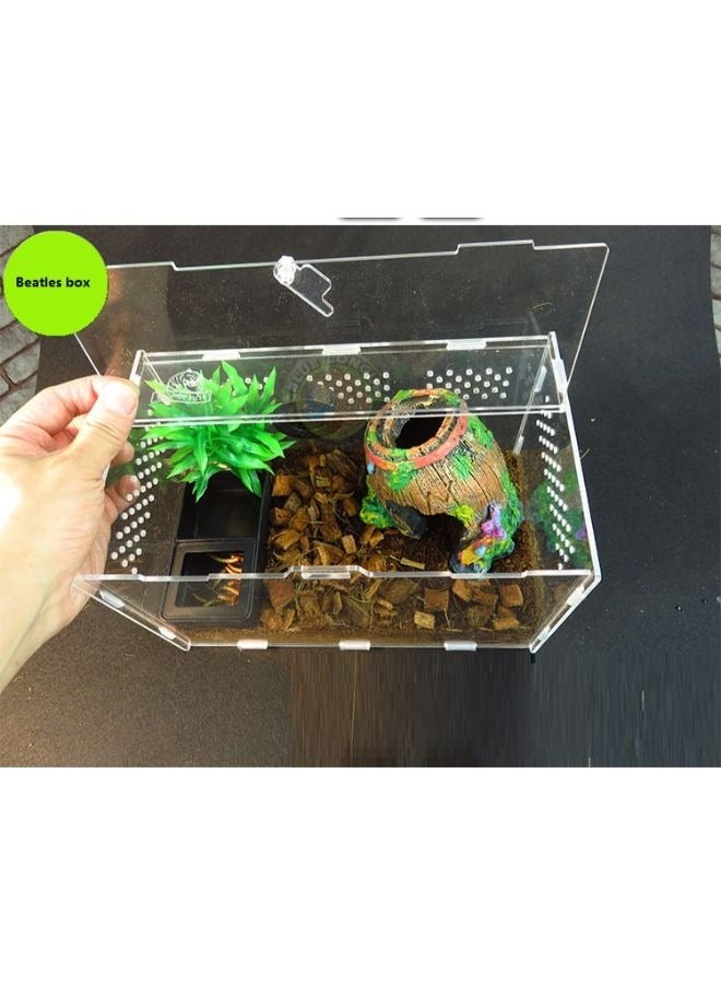 صندوق تربية خنفساء بالغ حية صندوق حيوانات أليفة أكريليك عنكبوت جكوا ستيغ تنسيق حدائق زحف B&K - Image 4