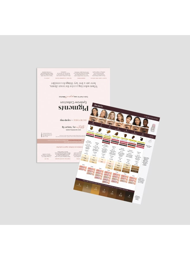 Perma Blend - Tina Davies Ink Eyebrow Pigment Collection For Permanent Makeup With True Tone Healing And Color Chart 8X 15Ml - Image 1