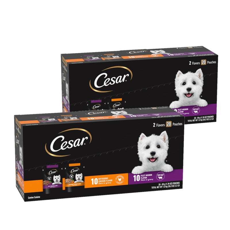 Cesar Filets in Gravy Wet Dog Food Filet Mignon Flavor and Rotisserie Chicken Flavor Variety Pack, Wet Food for Dogs, 1.76 oz. Mini-Pouches, 20 Count (Pack of 2) - Image 1