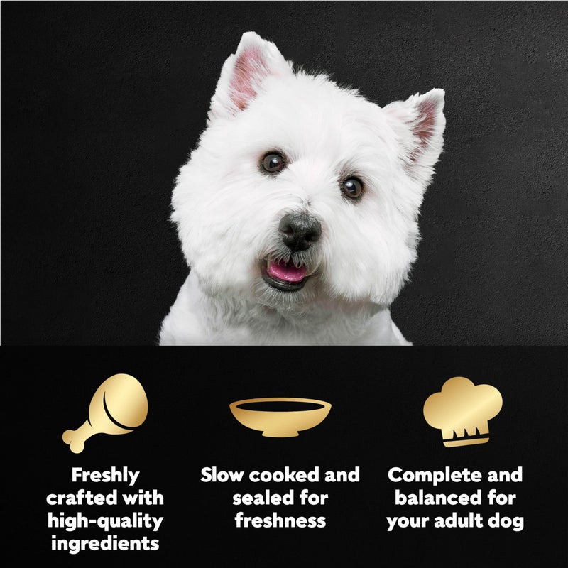Cesar Filets in Gravy Wet Dog Food Filet Mignon Flavor and Rotisserie Chicken Flavor Variety Pack, Wet Food for Dogs, 1.76 oz. Mini-Pouches, 20 Count (Pack of 2) - Image 2
