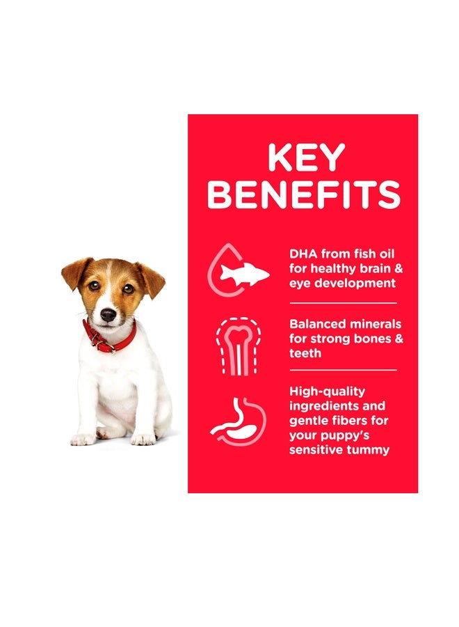 Hills خطة العلوم جرو صغير وصغير دجاج 1.5 كجم - Image 3