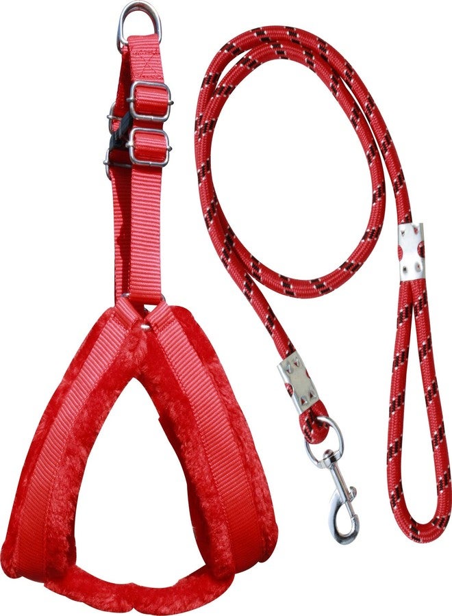 Pedigone Dog Belt Combo of Nylon Fur Padded Red Dog Harness with Red Dog Lead Specially for Medium Breeds Dog Harness Chain (Red, Pack of 1) - Image 1