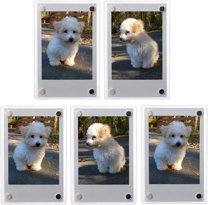 3 Dual Sided Clear Acrylic Refrigerator Magnetic Photo Frame Frameless Display Compatible with Fujifilm Mini 9 8 8 2x3 Photo x5