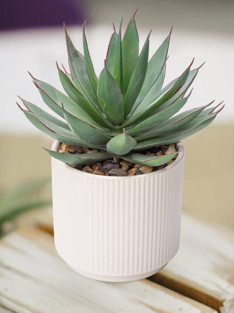 Briful Succulents Plants Artificial for Home Decor, Realistic Potted Fake Agave Plant, Cute Aloe Maguey Faux Plant, Bookshelf Tabletop Decor, Modern Farmhouse Home Bathroom Decorations - Image 3