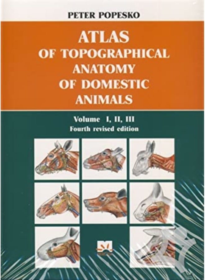 Atlas Of Topographical Anatomy Of Domestic Animals Vol.1,2,3 (In Single Volume) 4Ed (Hb) - Image 1