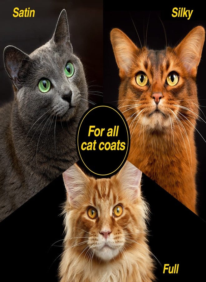 Chris Christensen Top Cat Facial Wash Shampoo for Cats, Groom Like a Professional, Gentle & Tearless, Sulfate & Soap Free, 8 oz - Image 4