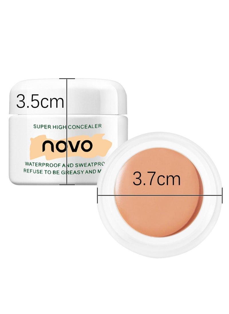 Super High Concealer, Full Coverage Non-Creasing Brightening Under Eye Concealer, Lightweight Long Lasting Hydrating Highlighter for Women, Create a Natural, Clean 3D Looking 12g