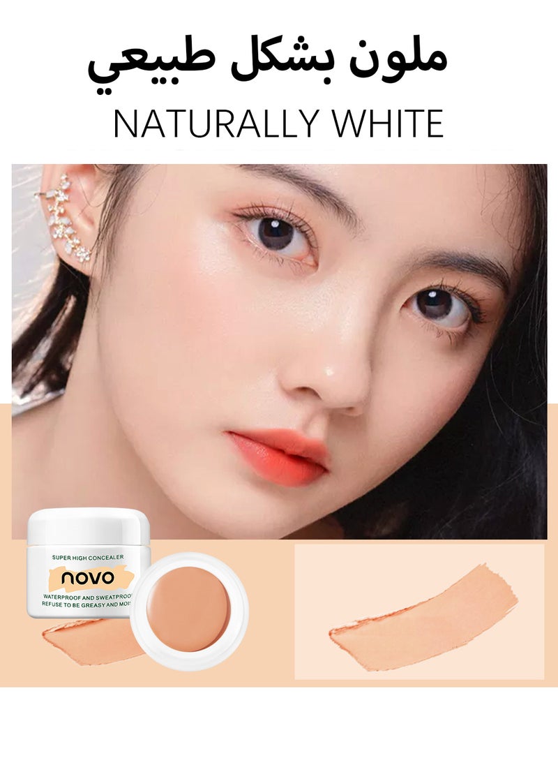 Novo Super High Concealer, Full Coverage Non-Creasing Brightening Under Eye Concealer, Lightweight Long Lasting Hydrating Highlighter for Women, Create a Natural, Clean 3D Looking 12g  - Image 2
