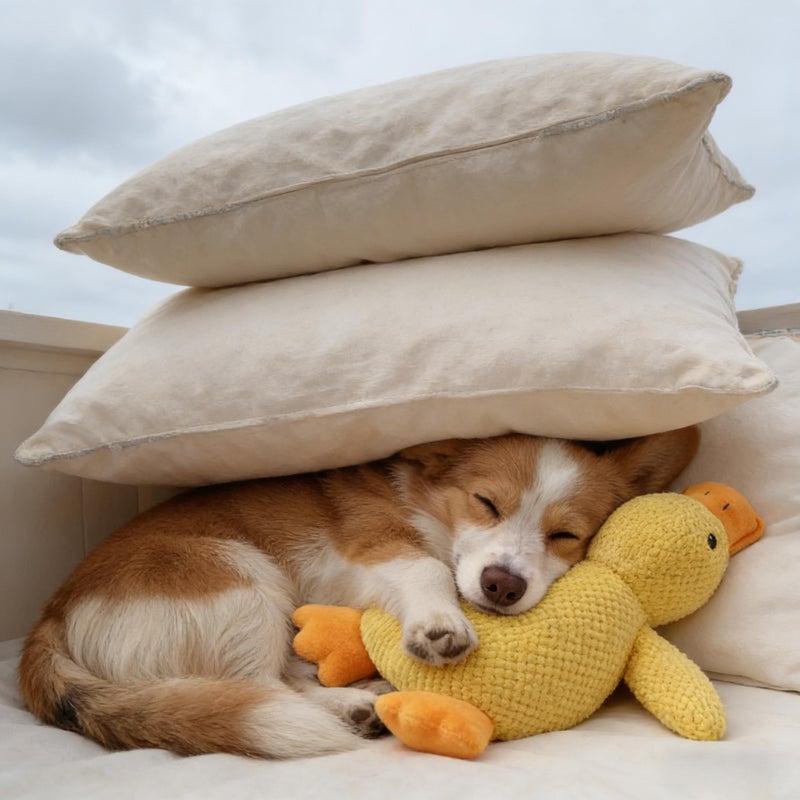 Interactive Yellow Duck Plush Toy with Squeak, Chew-Resistant Dog Toy - Image 4