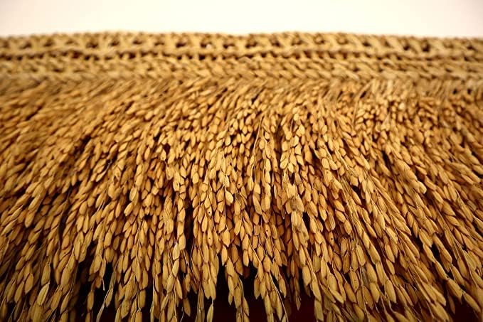 Suvasane Pooja Room Toran with Natural Golden Paddy – 3.5 Feet Long Door Decoration - Image 3