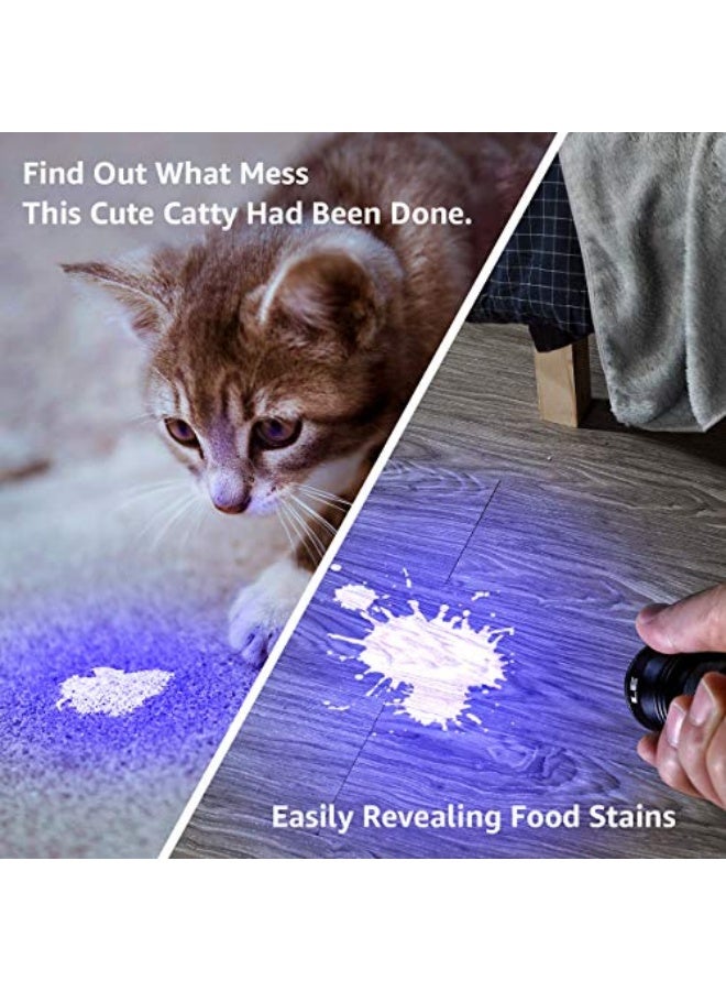 Lepro UV Flashlight, Black Light UV Torch, 9 LED 395nm UV Light, Blacklight Detector for Pet Urine, Stain, Bed Bugs, Fungi, Scorpion and More, Ultraviolet Flashlight Mini, 3 AAA Batteries Included - Image 2