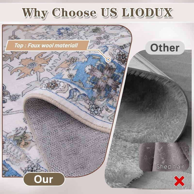 LIODUX سجاد منطقة بوهو من ، سجاد رقيق غير قابل للانزلاق، سجاد بوهيمي عتيق للاستخدام الخارجي، سجاد كبير قابل للغسل لغرفة المعيشة وغرفة النوم والمكتب وديكور جمالي (أزرق، 160 × 230 سم) - Image 4