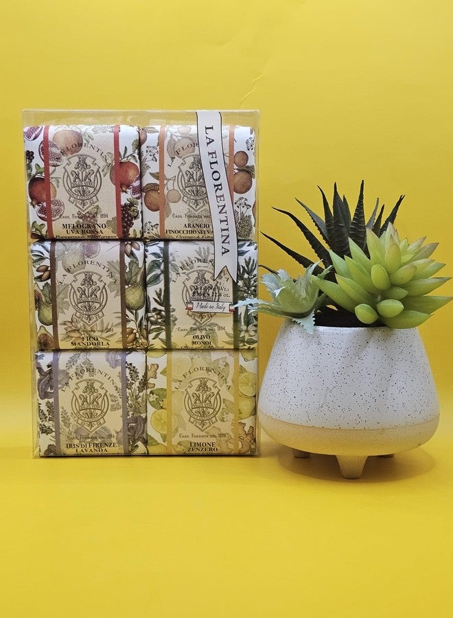LA FLORENTINA Variety Soap Pack - Melograno Uva Rosa, Arancio Finocchio Selvatico, Fico Mandorla, Olivo Monoi, Iris Di Firenze Lavanda, Lemon Zenzero, 6 Bars, 3.7 Oz Each, Imported From Italy - Image 2