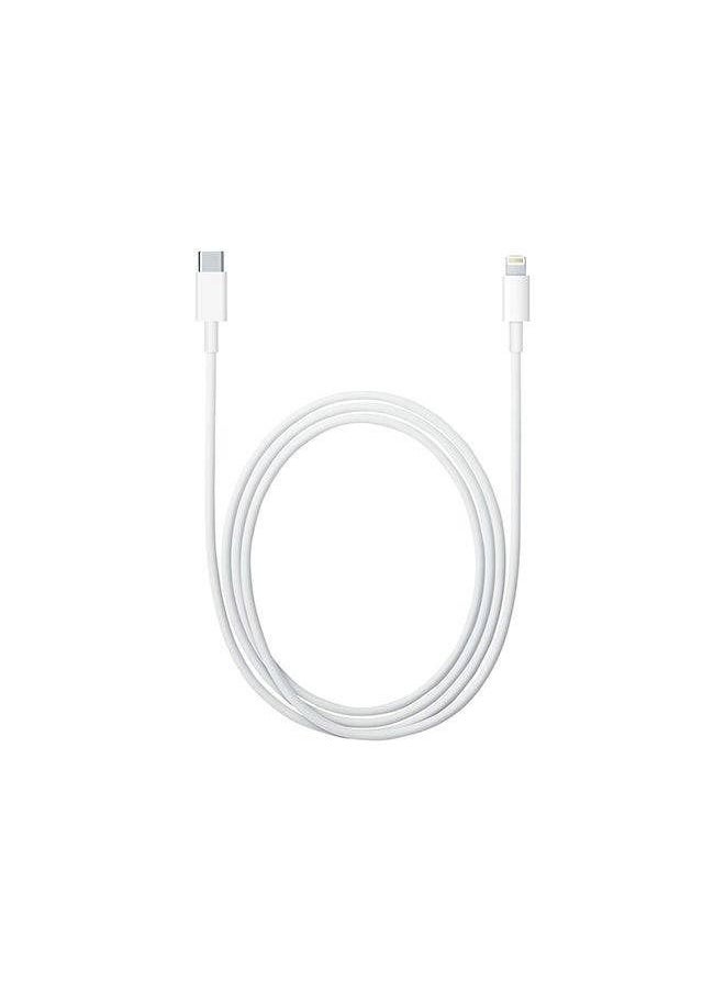 WP - 2-In-1 Lightning Connector Earphone And Lightning to USB Cable For Apple iPhone - Image 1