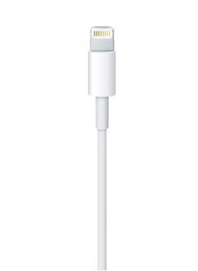 WP - 2-In-1 Lightning Connector Earphone And Lightning to USB Cable For Apple iPhone - Image 1