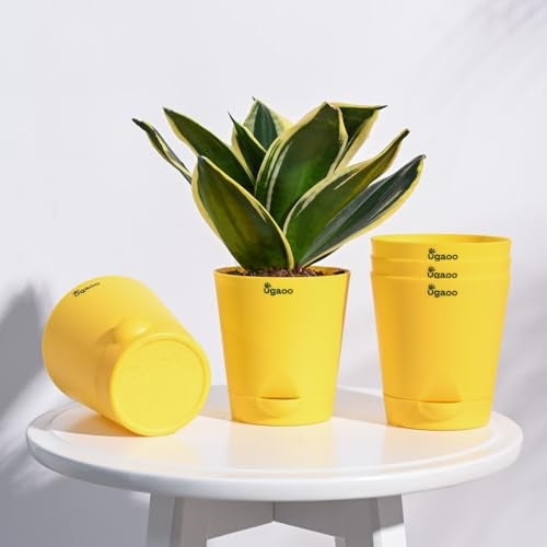 UGAOO 4 Inch Krish Self Watering Planter - Set of 5 (Yellow) | Flower Pots for Indoor Plants | Plastic Planter Pots | Decorative Pots for Living Room, Kitchen, Office | Planters for Home Decor - Image 2