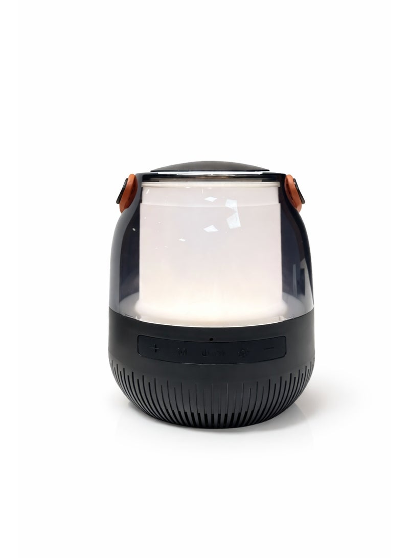 Portable Wireless LED Bluetooth Karaoke Speaker with Rechargeable Microphone comes with Bluetooth , TF Card and USB Support - Image 3