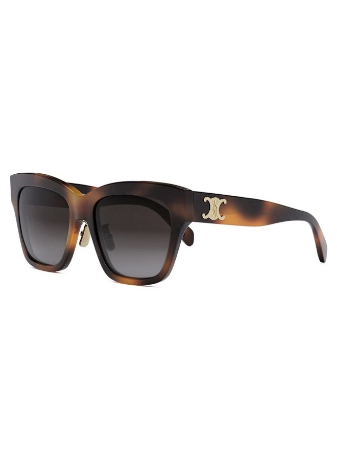 Celine CL40253F 53K Women's Full Rim Square Sunglasses - Image 1