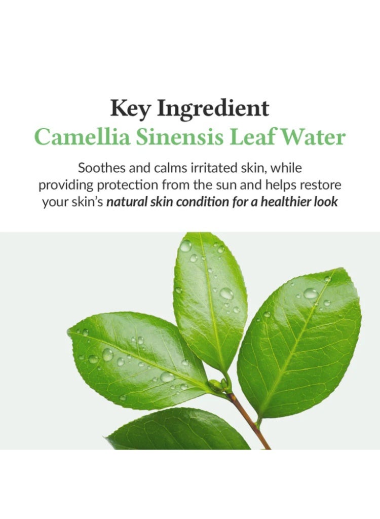 Dr.althea Green Tea Fresh Sunscreen Lightweight for Calming UV Defense - Image 4