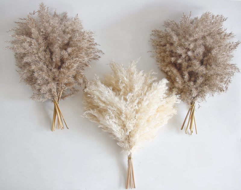 30 PCS Boho Decor Fluffy Pompas Grass Natural Dry Pampas Grass Small Short Pampass Bulk for Boho Room Decor Coffee Table Decor 17 inch