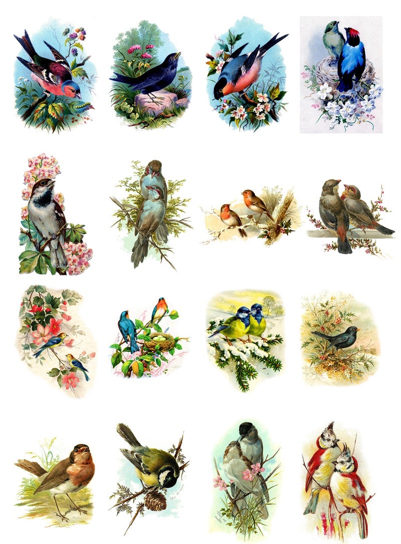 Flonz Decoupage Paper Pack (10sheets A4 / 8"x12") Beautiful Birds FLONZ Vintage Paper - Image 1