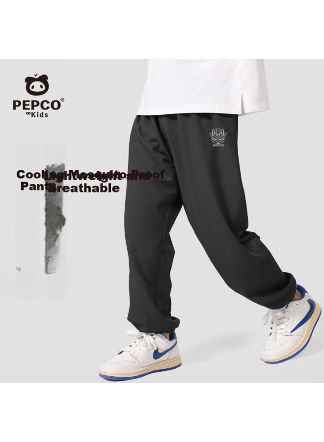 Pepco Boys' Mosquito-repellent Pants, Summer Style, Thin Cool-feeling Joggers For Older Boys, Children's Sports Quick-dry Long Pants, Summer Wear