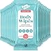 PIPA MINT Body Wipes XL Shower Wipes Body Wipe for Adults Bathing Traveling Camping Gym Car Elderly Bedridden Disposable Washcloths for Adults No Rinse 1 Box Aloe 20 Pack 200 ct - Image 1