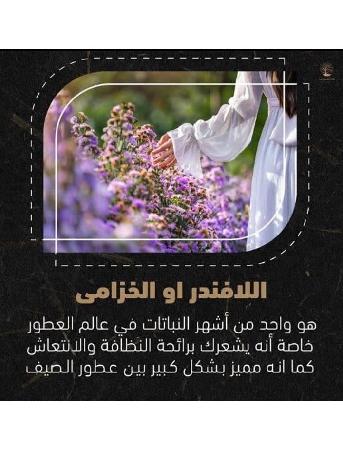 جدوار عطر جي دي فورمال الأنيق و المميز اختيارًا رائعًا للأشخاص الذين يفضلون العطور الأنيقة والعصرية التي تعكس جاذبيتهم الطبيعية وأناقتهم.  - Image 2